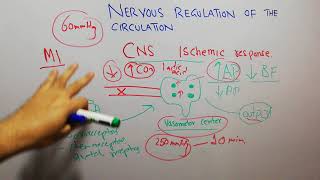 CVS physiology 130. CNS ischemic response, central nervous system ischemic response