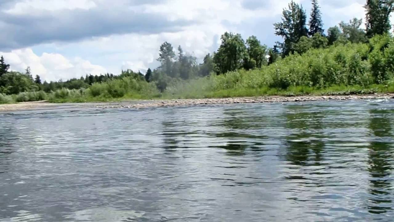 Река терсь Река терсь