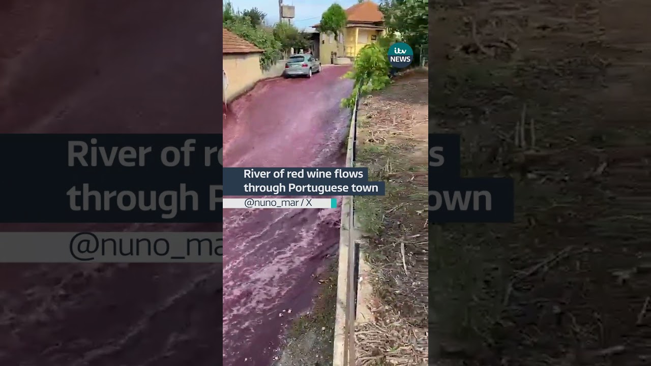 River of red wine flows through Portuguese town 