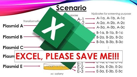 #1 List out all data combinations in Excel using Power Query function | MeowSW EduChannel