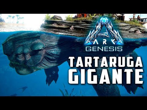 A Tartaruga e o Golem! O anão contra o gigante! - Capítulo 31, Página 694 -  DBMultiverse