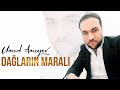 Umud Amoyev – Dağların Maralı