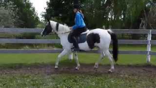 Lucy First Ride at HCW Trot Left