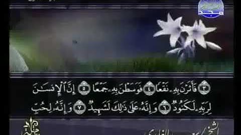 سعد الغامدي سورة العاديات 100