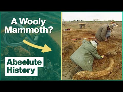 The Mammoth Buried In The British Countryside | Time Team documentary thumbnail