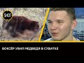 Тюменский боксёр убил дикого медведя, напавшего на него в лесу