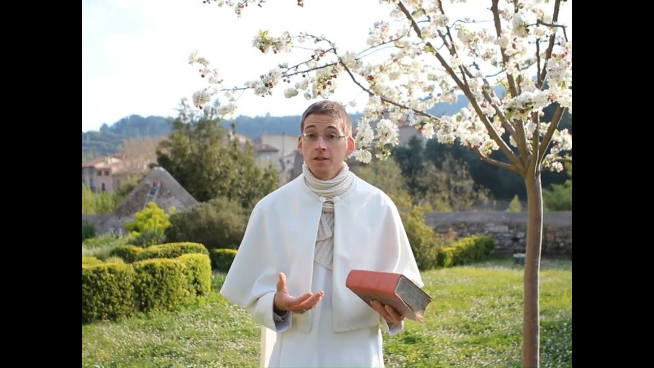Le pommier - Une visite au jardin biblique - 1