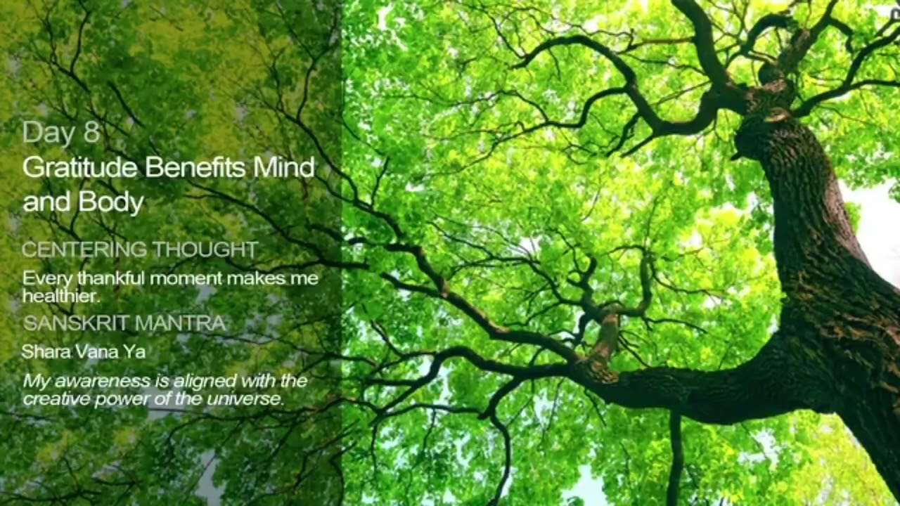 День 8 | Проявление благодати через благодарность | 21-дневный челлендж медитации
