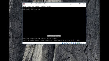 Konfigurasi DNS dan WEB SERVER di Debian 7.8