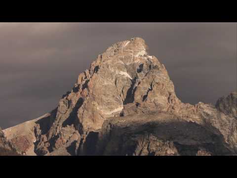 THE WILD UNREST (teaser)