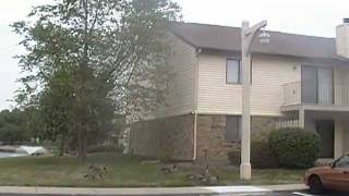 Shadeland Station Apartments / North Side Tour # 3