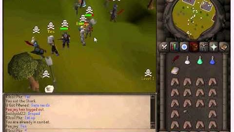 Private server PKing R3coil pkz (First PK Vid)