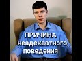 &quot;Неадекватное&quot; поведение партнера. Семейная психология