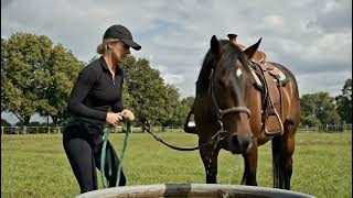 Horse Suddenly Bucks Off Rider || ViralHog 🐎❤#horseenthusiast #horseenthusiast #horsefan