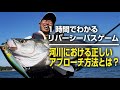 【リバーシーバスゲーム③】清流河川、釣れそうで釣れない！正しいアプローチ方法とは？【久保田剛之／ライブ配信動画】