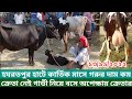 Hazratpur Cow Haat কার্তিক মাস দামেও কম ।।কিছু দুগ্ধ গাভীর দাম জানুন  | Milking cow price