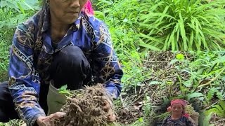 The old woman dug up ginger, found snails and brought them to the market to sell