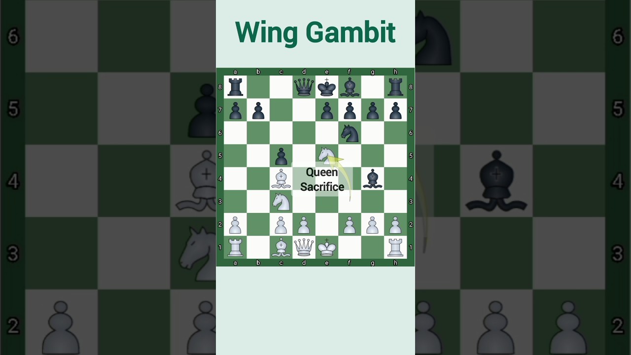 Wing Gambit | A chess trick that makes you win in 9 moves