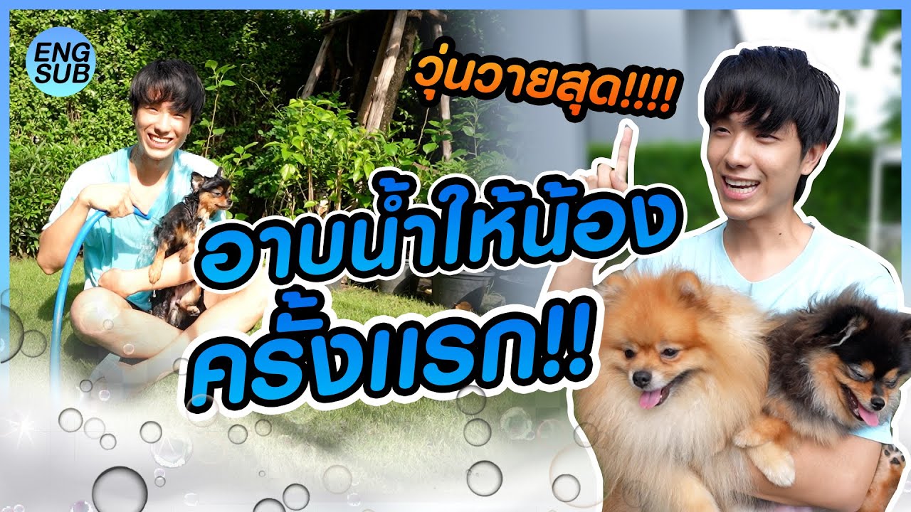 อาบน้ำหมาเองครั้งแรก!! ยากกว่าที่คิด! รอดไม่รอด!? | KAYAVINE