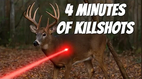4 Minutes of Bowhunting Kill Shots! Trust me, you have time…