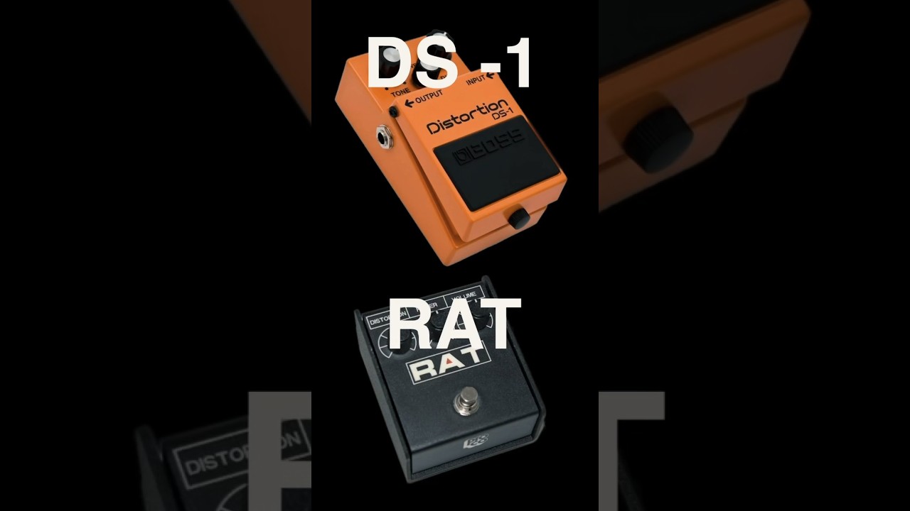 The Ultimate Alt/Grunge Distortion Pedals? Proco Rat Vs Boss DS-1 #shorts adlı videoyu YouTube'da izle The Ultimate Alt/Grunge Distortion Pedals? Proco Rat Vs Boss DS-1 #shorts adlı videoyu YouTube'da izle