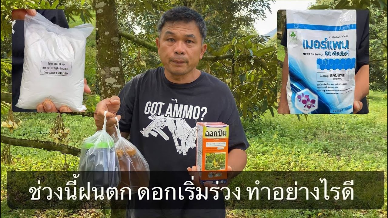 ช่วงนี้ฝนตกดกเริ่มร่วงทำอย่างไรดี