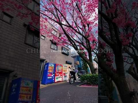 Why Japan is the best country in the world?#shorts #motivation #lifelessons