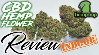 Is This The Best Hemp Can Get? |Hemp Hop| Abacus Diesel CBD Hemp Flower Review