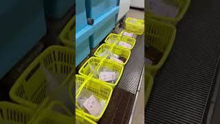 今朝は久しぶりの週末好天で、オキアミ解凍ラッシュ。これから明け方まで混雑いたしますのでご了承ください。1月17日土曜日。