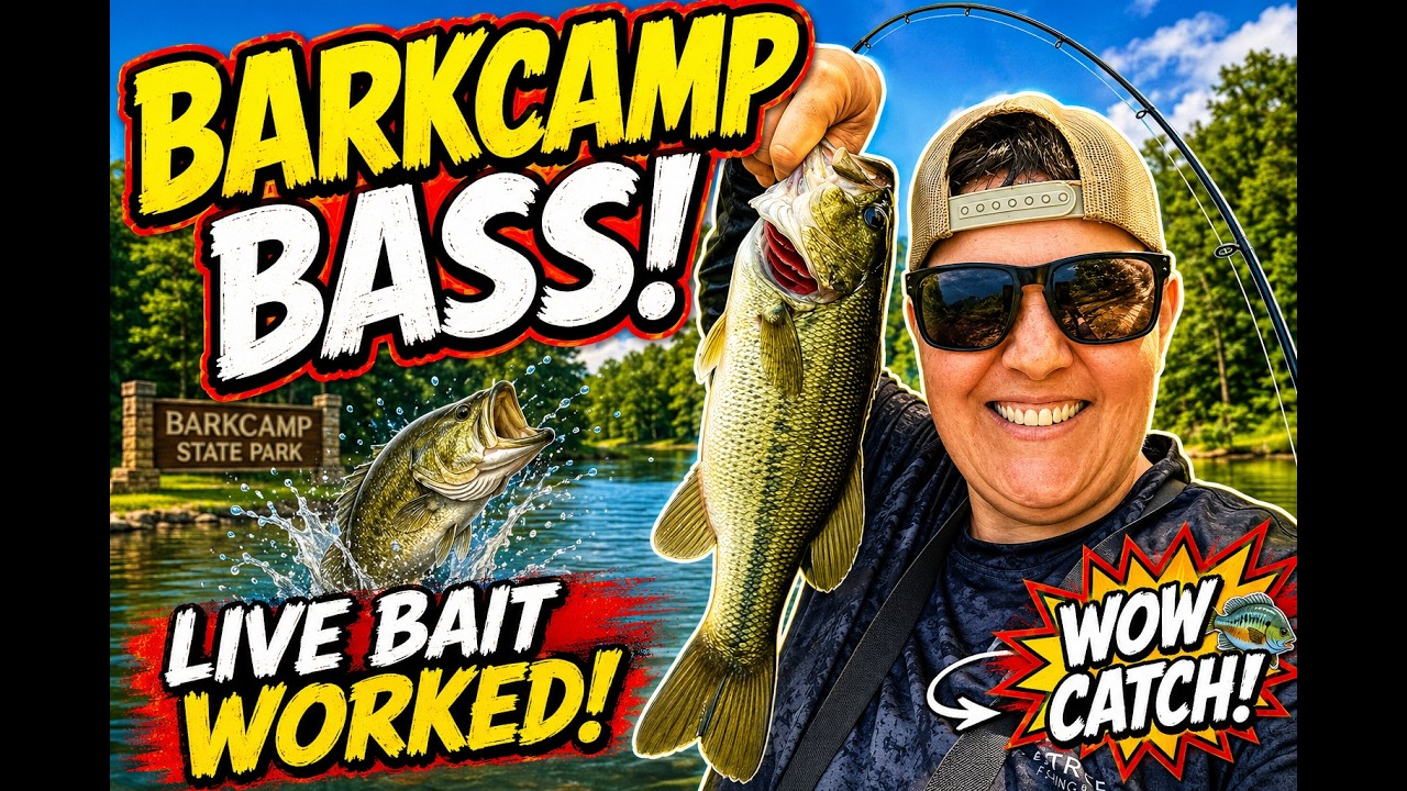 Fishing at Barkcamp State Park | Bass, Bluegill & Great Spring Action!