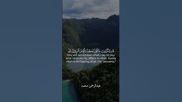 وافوض امري الي الله ان الله بصير بالعباد(44) #quran #القرآن_الكريم #قرآن #عبدالرحمن_مكرم #سورة_غافر
