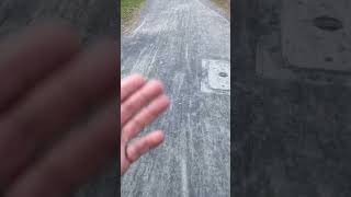 #Warszawа #польша #drugiwarszawiak #тратуар #урбанистика #город #городскаясреда #drugiwarszawiak