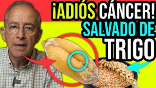 ATENCION SALVADO DE TRIGO MILAGROSO DILE ADIOS AL EXTREÑIMIENTO - Oswaldo Restrepo RSC