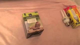 Review: UVB & Basking Bulbs for Russian Tortoise