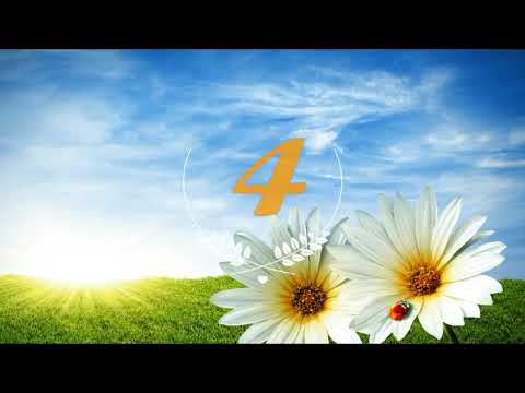 الطارق ساره الهبطي ورش