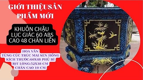 Giới Thiệu Mẫu Lục Giác 60 Chân Liền Nhựa Abs Hàng Việt  Nam Chất Lượng