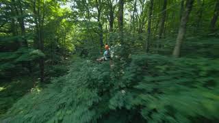 Hawksnest Zipline - Virtual Boone Vacation