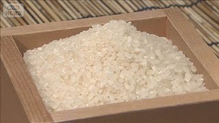 コメ平均販売価格　2週連続3600円台　3673円/5kg（前週比－19円）(2026年6月5日)