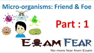 Biology Micro Organisms Part 1 (Introduction) Class 8  VIII