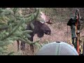 ARROWED at 14 YARDS! Bow Hunting Moose (Eastmans Hunting TV)