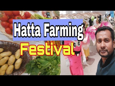 Hatta farming festival | Hatta farming festival 2024 | Hatta farm visit  ‎@VisitHatta 