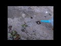 Destruction d'une colonie de fourmis par Henrot Pierre destruction nuisibles