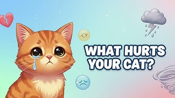 16 THINGS THA EMOTIONALLY HURT YOUR CAT! 😿💔 (ARE YOU DOING THESE MISTAKES?)