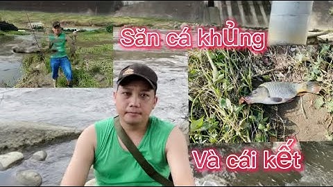 1 ngày câu cá trên sông và cái kết cuối video!
