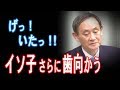 イソ子復帰さらに歯向かう あ~ぁ 平穏な日は短い・・【JapanADch】190228