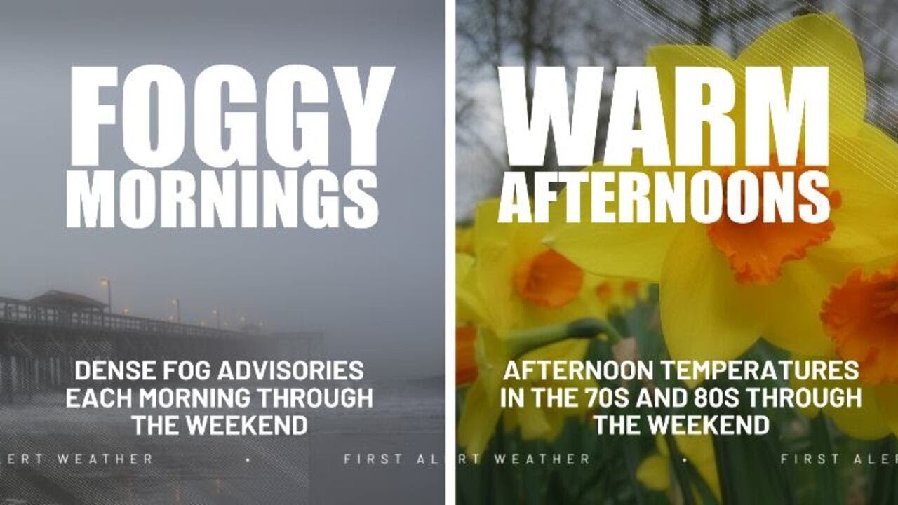 FIRST ALERT: Foggy mornings, warm afternoons this weekend - YouTube