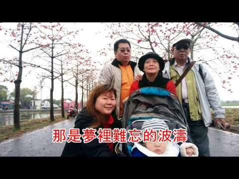 20170326木棉花道背景音樂木棉道