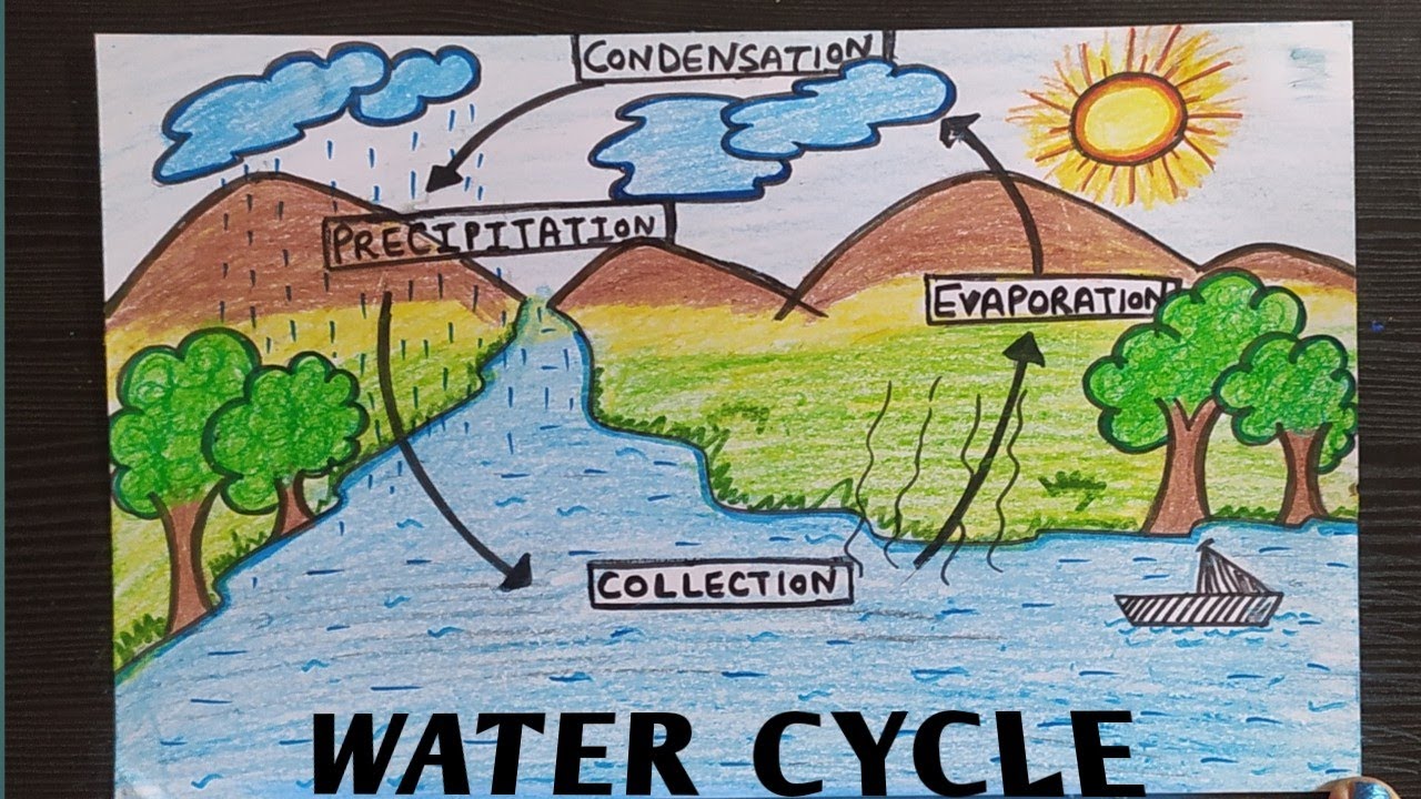 How to draw Water Cycle easy / Water Cycle drawing easy step by step / Easy drawing of water