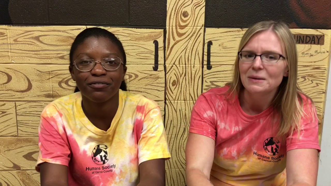 Humane Society of Carroll County Critter Camp News - YouTube
