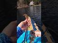 Bellows gill 3.8 strikes again